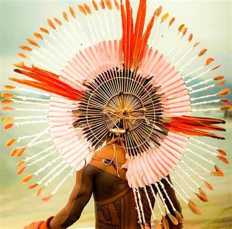 karajá man headdress indios brasileiros povos indígenas brasileiros arte indígena brasileira
