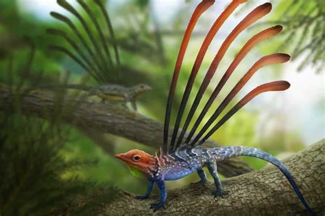 10 Of The Weirdest Prehistoric Creatures