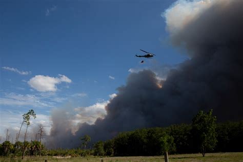 Florida Wildfires Burn More Than 5000 Acres Forcing Evacuations And