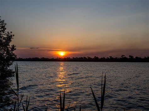 Sonnenuntergang Am Chobe2 Foto And Bild World Sonnenuntergang Schilf
