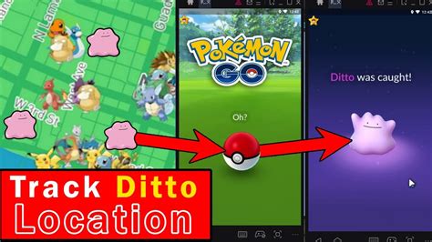 How To Catch Ditto In Pokemon Go How To Track Ditto Location In