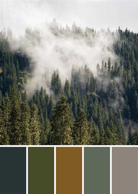 Forest Green Color Palette Dimensional Blawker Pictures Gallery