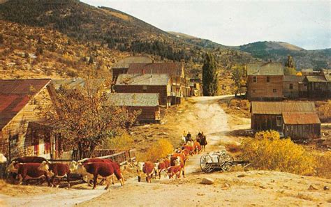 Silver City Idaho Ghost Town Cattle Street View Vintage Postcard K92864