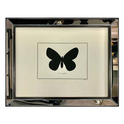 Print Of Butterflies Framed At 1stdibs