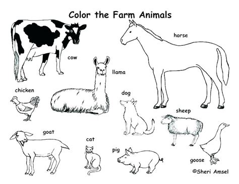 Preschool Farm Animal Coloring Pages At Free