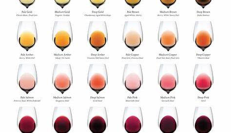 wine folly color chart