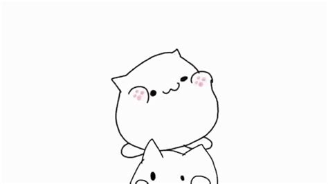 Top 30 Bongo Cat Funny Memes Compilation S Find The Best  On Gfycat