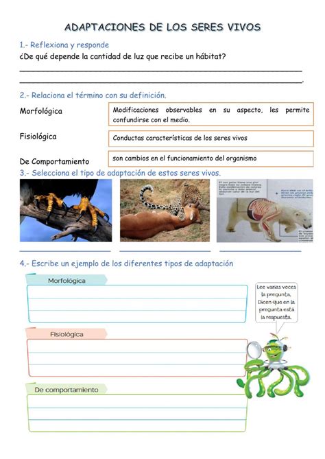 Actividad De Adaptaciones De Los Seres Vivos Adaptaciones De Los