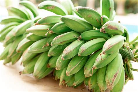 Green Bananas Ripen On A Branch Organic Bananas Grow On The Banana