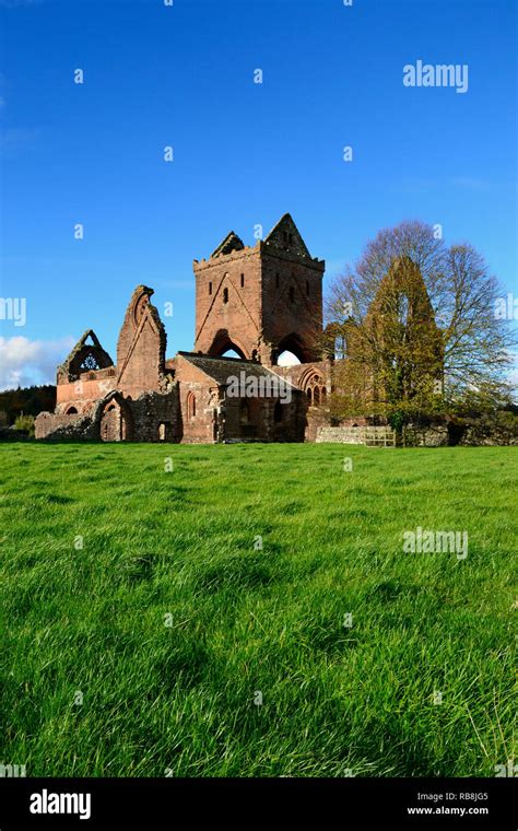The Old Ruins Of Sweetheart Abbey An Old Cistercian Monastery
