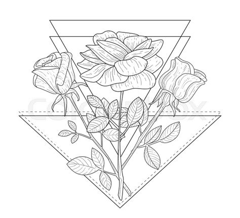 Triangle With Rose Flowers Hand Drawn Stock Vector Colourbox