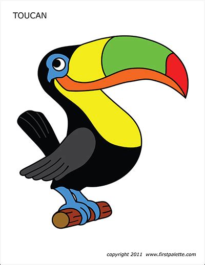 Toucan Free Printable Templates And Coloring Pages