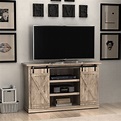 Lorraine TV Stand for TVs up to 60 inches | Joss & Main