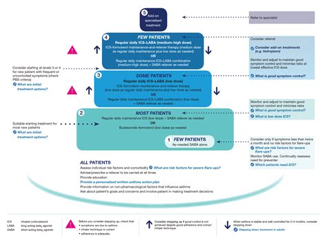 Updated Australian Guidelines On The Treatment Of Mild Asthma Whats