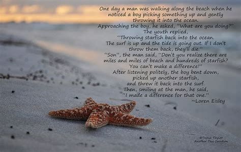 Quotes About Sand Dollars Quotesgram