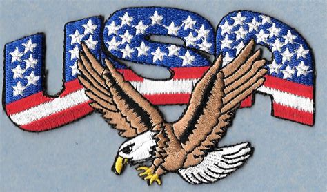 Details About Eagle American Eagle Usa Patriotic Embroidered
