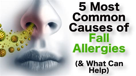 5 Most Common Causes Of Fall Allergies And What Can Help Womenworking