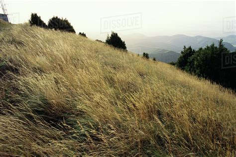 Grassy Hillside Mountains In The Distance Stock Photo Dissolve