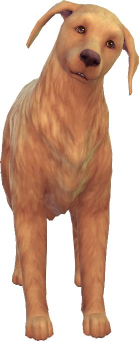 Dog Breeds Sims Online