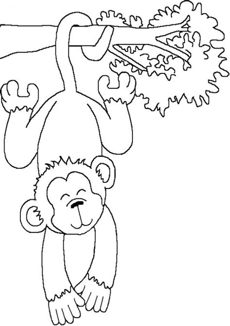 Cute Monkey Printable Coloring Pages