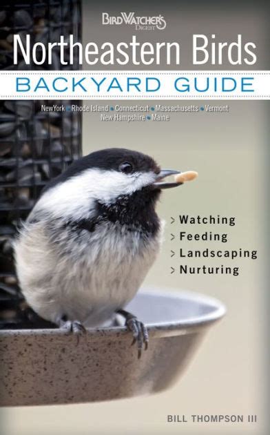 Northeastern Birds Backyard Guide Watching Feeding