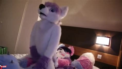 Furry Gets Fucked In The Ass Sylvester017 480p 030414 1