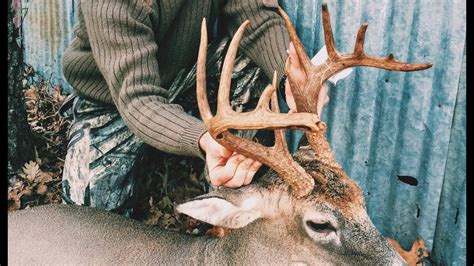 Arkansas Whitetail Hunting Big Buck Kill With 65 Grendel Ar 15 Youtube
