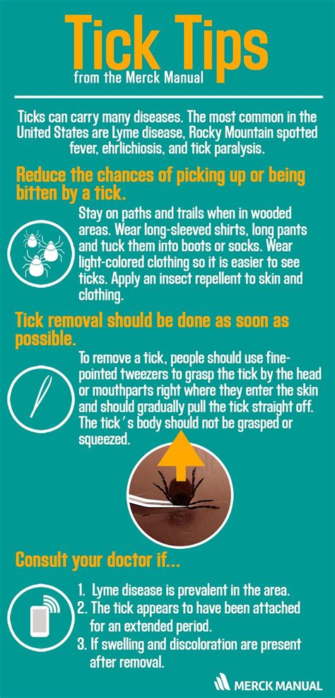 Learn More About How To Prevent Tick Bites Before You Go On Your Next