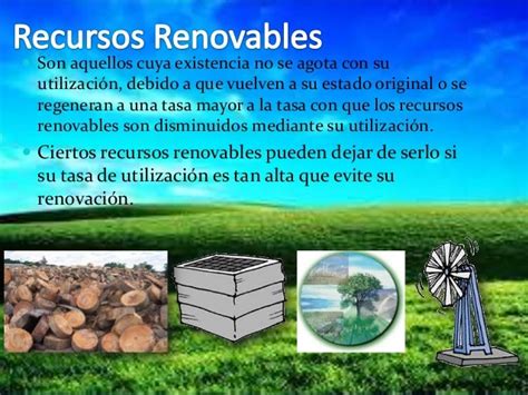 Recursos Naturales Perpetuos Potencialmente Renovables Y No Renovables