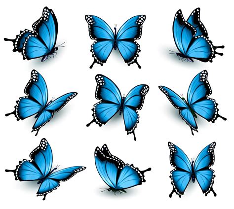 Conjunto De Hermosas Mariposas Azules Vector Vector Premium