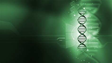 Green DNA Wallpaper Genetics Digital Art 1080P Wallpaper