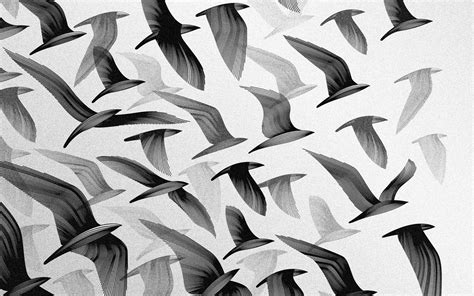 Download Wallpaper For 1680x1050 Resolution Birds Bw Abstract Hd