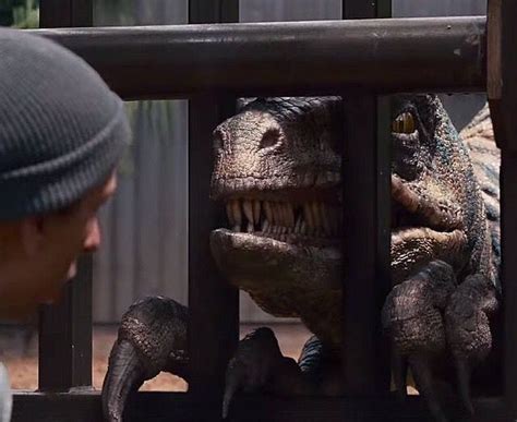 Echo Snarling At The New Guy Jurassic Park Jurassic Park Film Blue Jurassic World