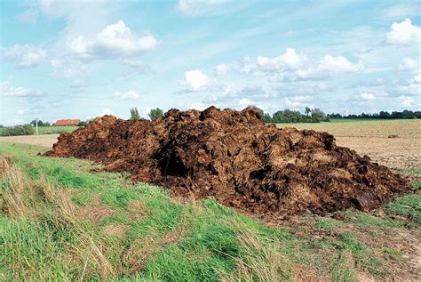Pile Of Manure Photograph By Pascal Goetgheluckscience Photo Library