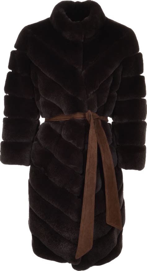 Sable Fur Jacket Monique Png Image Purepng Free Transparent Cc0 Png