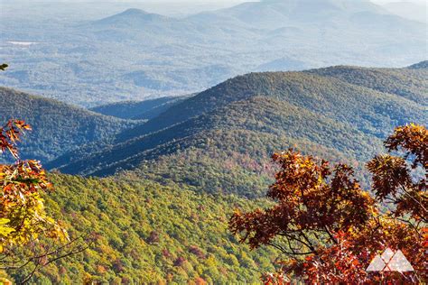 Appalachian Trail In Georgia Atlanta Trails