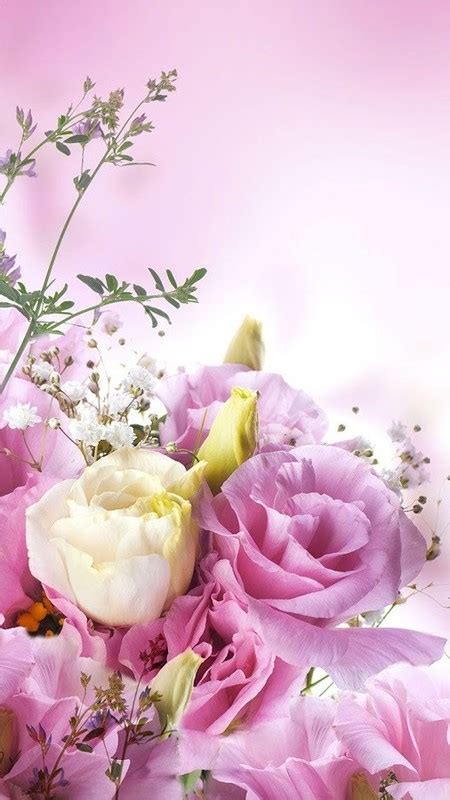 Flowers Live Wallpaper Free Android Live Wallpaper Download Appraw
