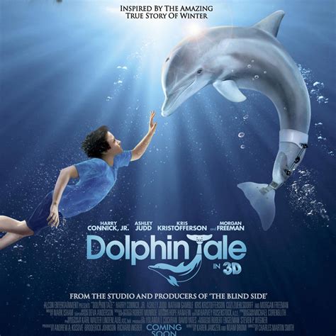 Watch Dolphin Tale Online Watch Movies Online Free Download Full