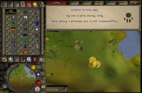 It Took Me So Long But Ive Finally Reached Level 99 Hunter 2007scape