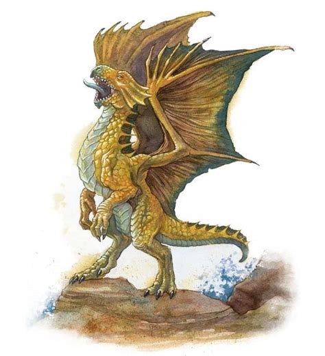 A Bronze Dragon Wyrmling Bronze Dragons Mated For Life And Took Their