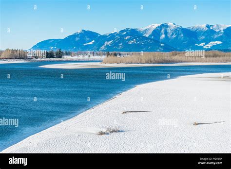 Fraser River In Winter At Agassiz British Columbia Canada Stock Photo