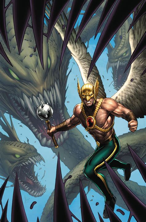 Hawkman 4 Variant Dc Comics Artwork Arte Dc Comics Hawkgirl Hawkman