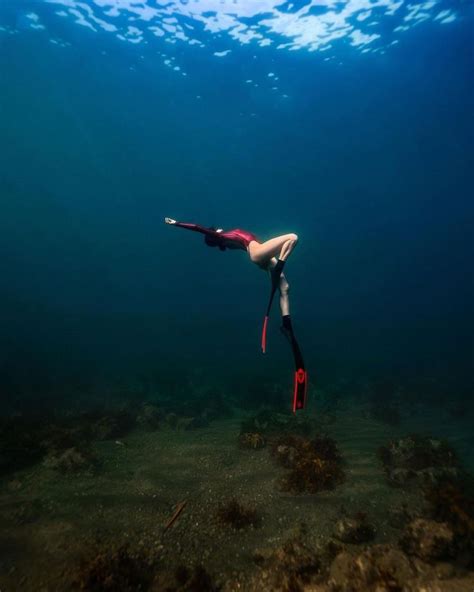 Pin Van John Jones Op Underwater Photography