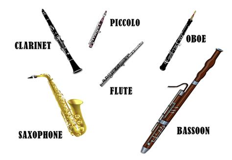 All Woodwind Instruments Are Made Of Wood True False Bradley Has Foley