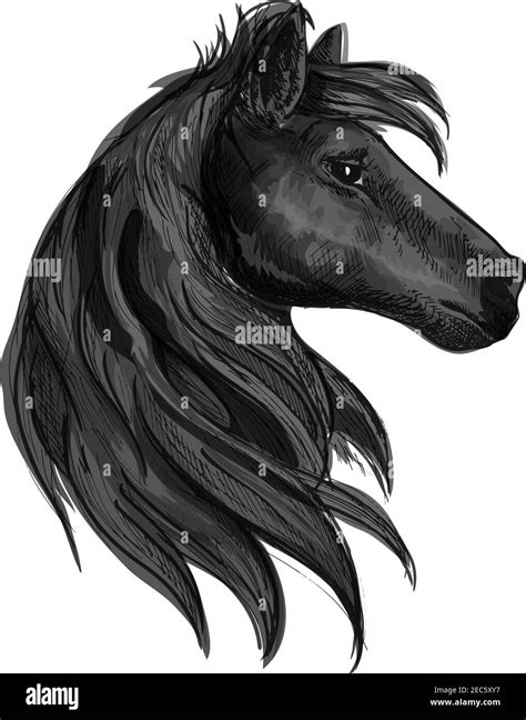 Black Horse Head Symbol With Purebred Stallion Horse Racing Badge