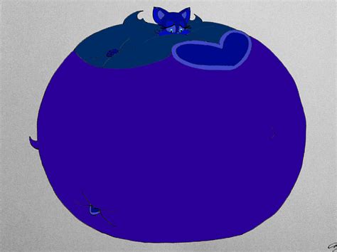 Rouge The Bat Blueberry Inflation By Mj455 On Deviantart
