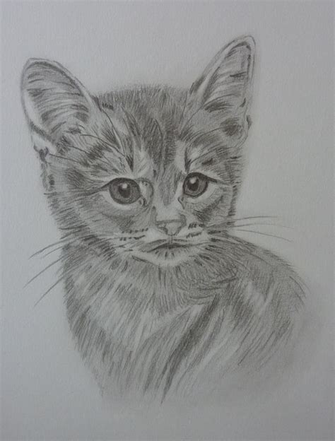 Katten afbeeldingen tekeningen st46 belbin idee kleurplaten honden. dieren tekenen - Google zoeken | Dieren tekenen, Katten ...