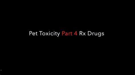 Common Pet Toxins Part 4 Rx Drugs YouTube