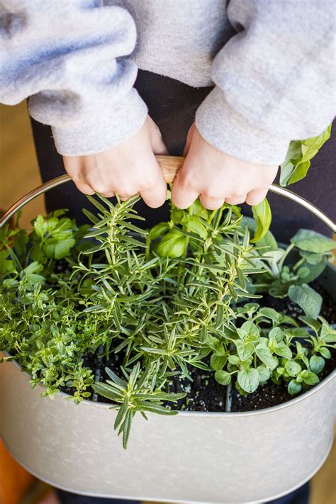 What to do if you want to grow vegetables at home but have very little space? Easy Indoor Herb Garden -- I was an indoor container ...