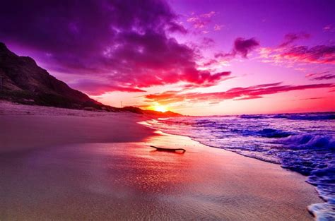 Sunsets Summer Colorful Beautiful Purple Nice Beach Pretty Sundown